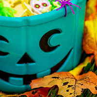 Photo showing a teal colored pumpkin bucket